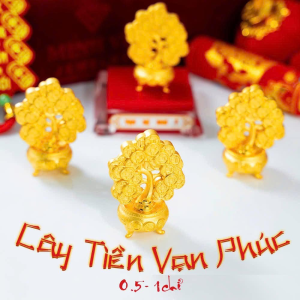 Cây Tiền Vạn Phúc